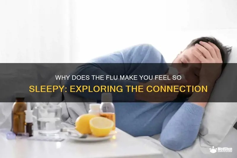 Why Does The Flu Make You Feel So Sleepy Exploring The Connection