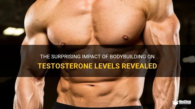The Surprising Impact Of Bodybuilding On Testosterone Levels Revealed