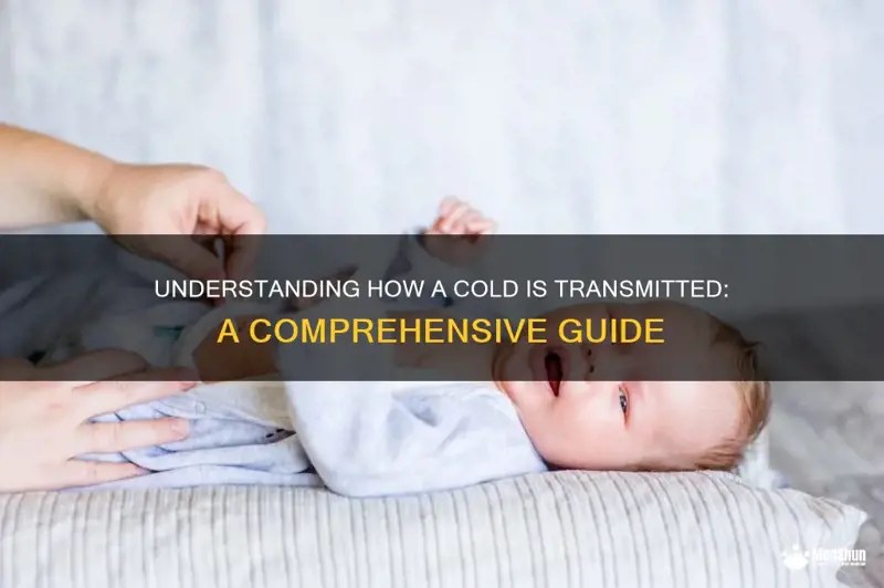 Understanding How A Cold Is Transmitted A Comprehensive Guide MedShun