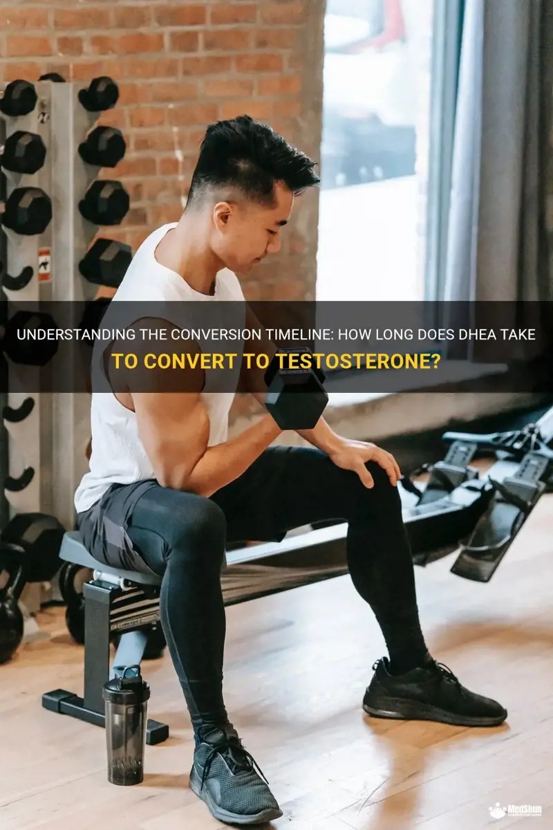 Understanding The Conversion Timeline How Long Does Dhea Take To Convert To Testosterone? MedShun