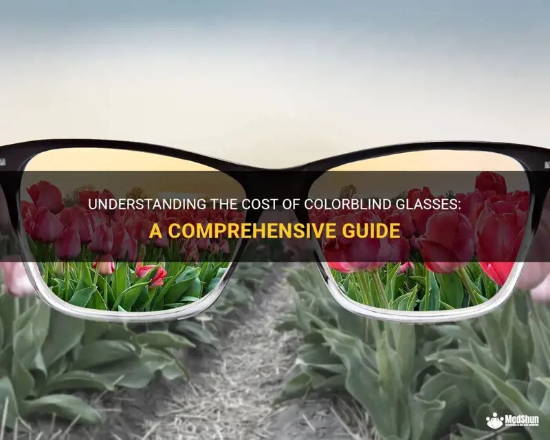 Understanding The Cost Of Colorblind Glasses A Comprehensive Guide