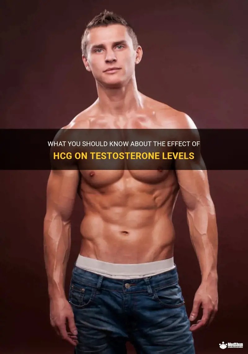 What You Should Know About The Effect Of Hcg On Testosterone Levels