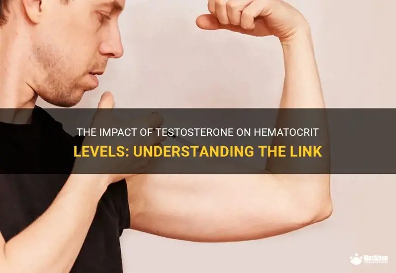The Impact Of Testosterone On Hematocrit Levels Understanding The Link