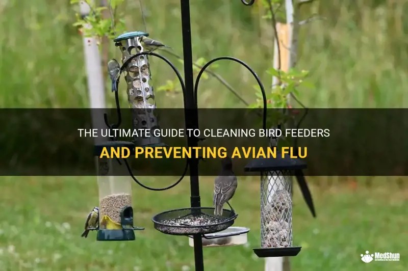 The Ultimate Guide To Cleaning Bird Feeders And Preventing Avian Flu