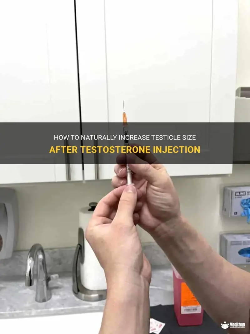How To Naturally Increase Testicle Size After Testosterone Injection MedShun