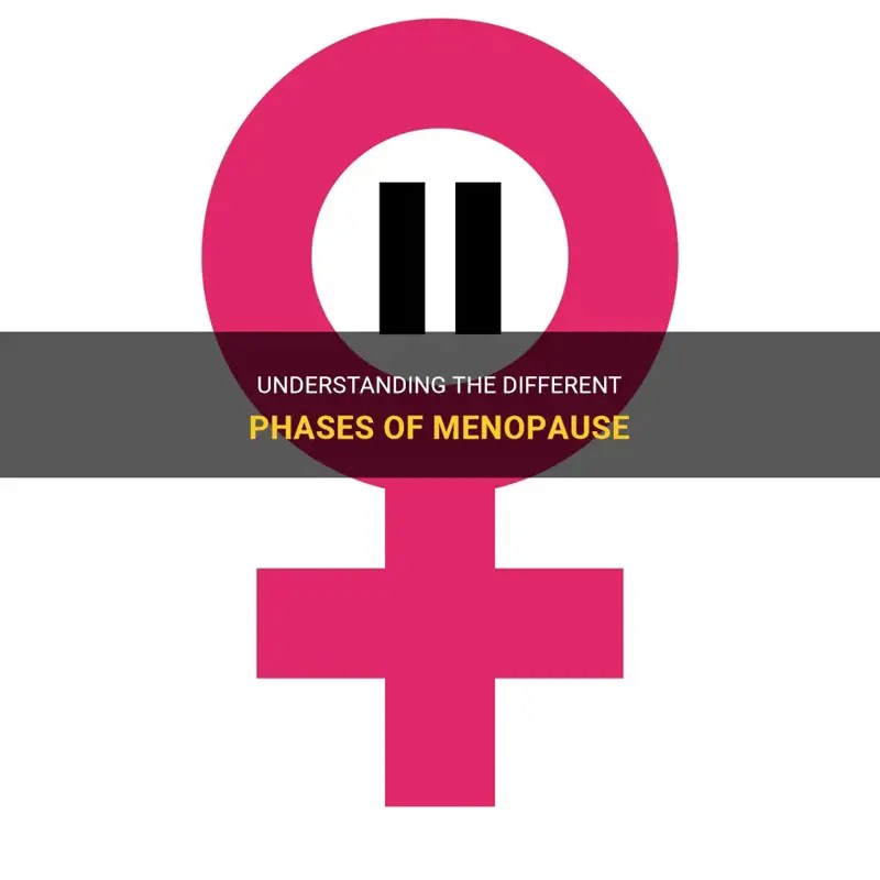 Understanding The Different Phases Of Menopause MedShun