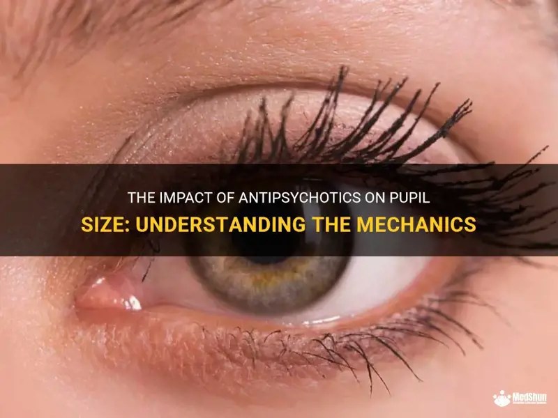 The Impact Of Antipsychotics On Pupil Size Understanding The Mechanics