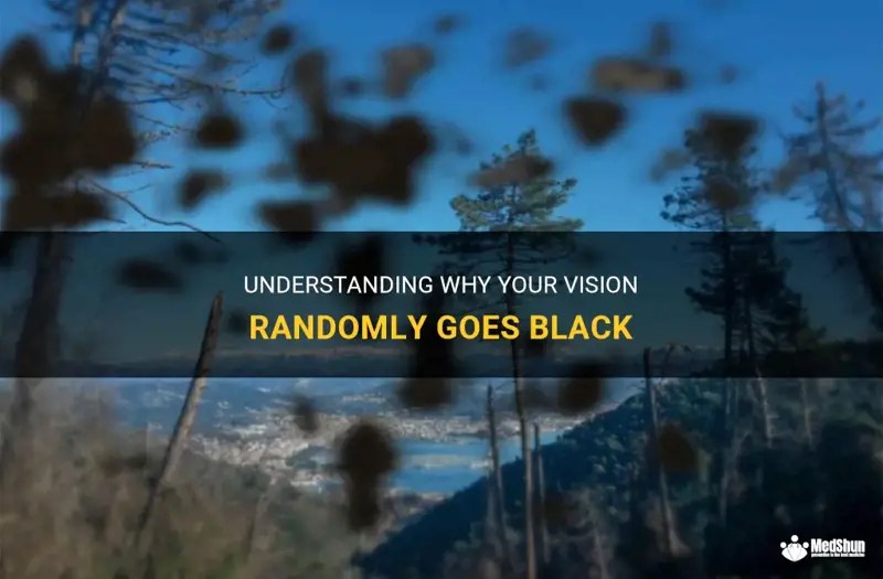 Understanding Why Your Vision Randomly Goes Black MedShun
