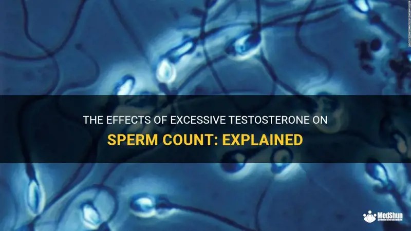 The Effects Of Excessive Testosterone On Sperm Count Explained MedShun