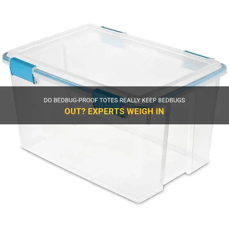 Do BedbugProof Totes Really Keep Bedbugs Out? Experts Weigh In MedShun