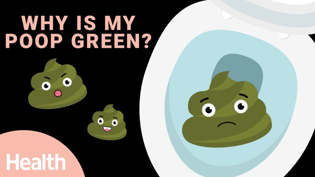 WHY IS YOUR POOP GREEN? Don't Panic, See Why in 2024 Medspurs
