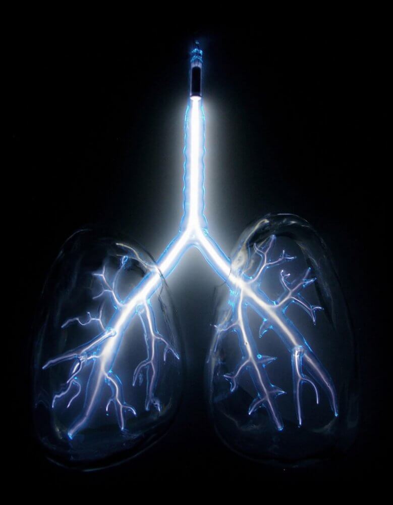 Brillantes órganos en la oscuridad Anatomical Neon