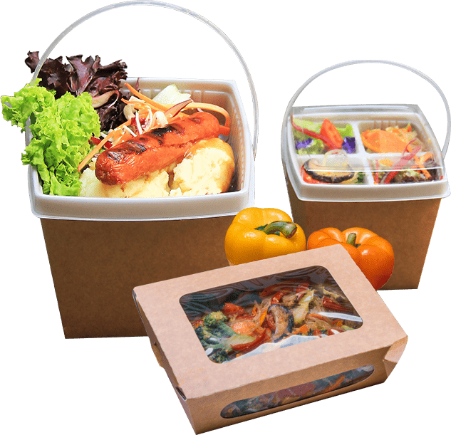 Biodegradable Food Packaging Container for Food