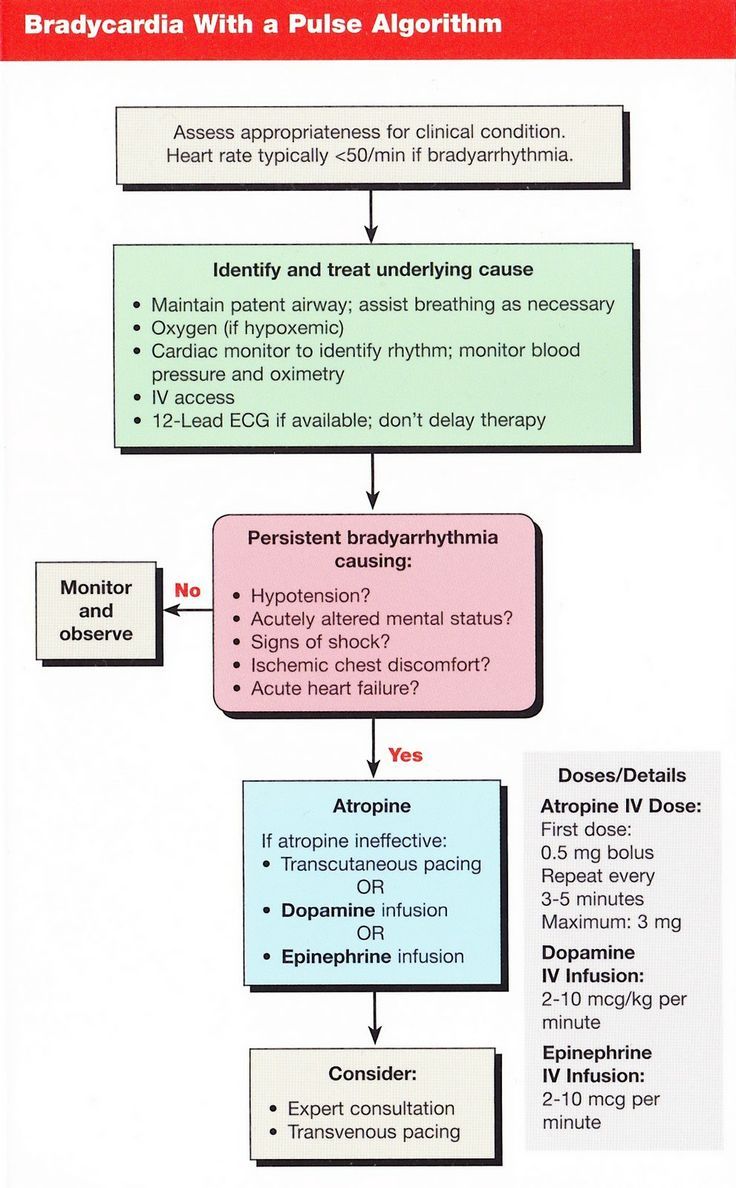 Bradycardia and Syncope
