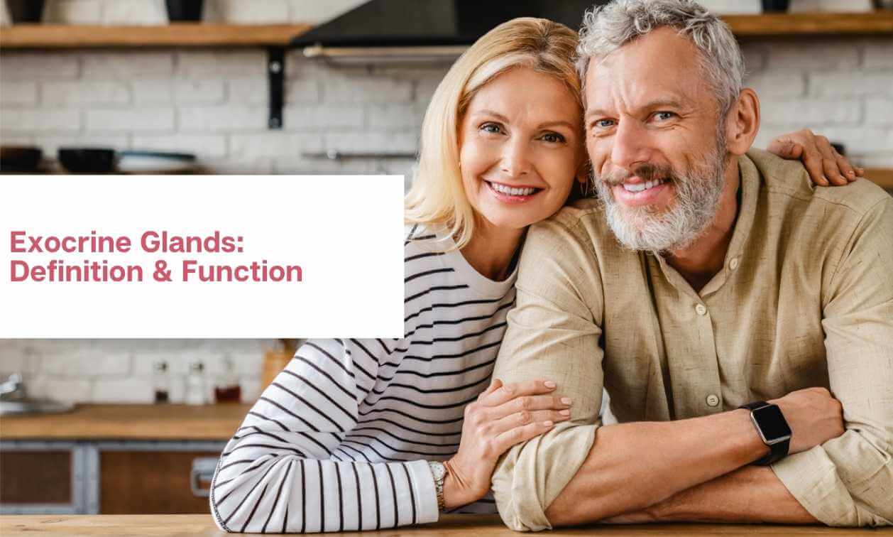 Exocrine Glands Definition, Function, Examples & Types