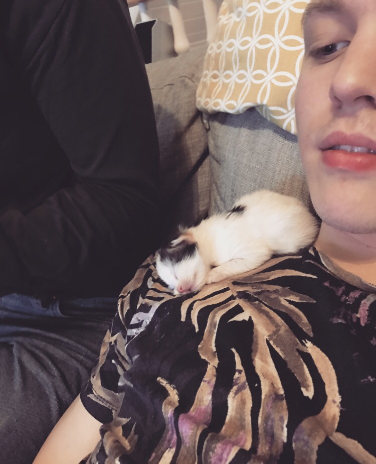 Back to reality Alma Lindqvist