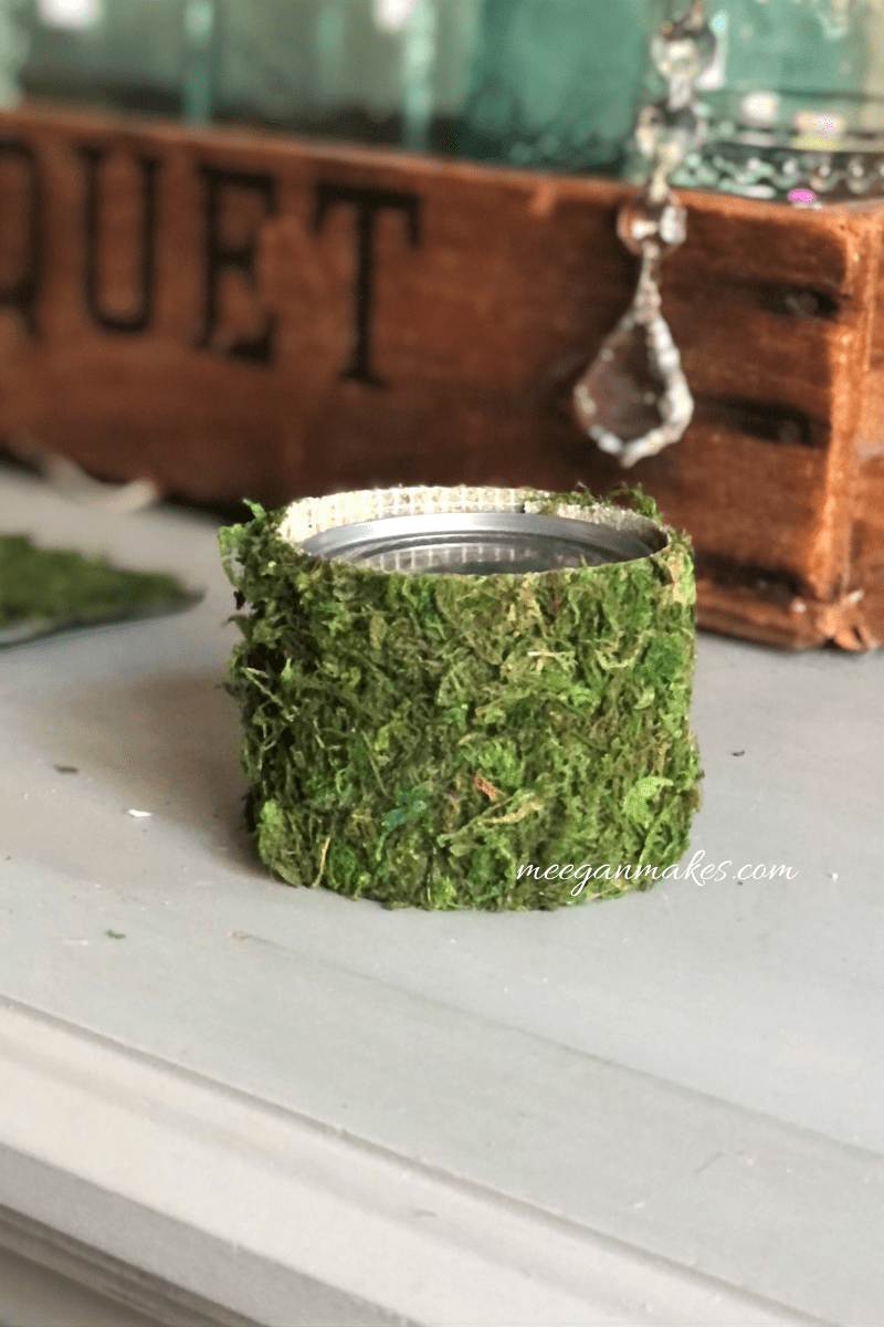 DIY Moss Candle Holders or Vases Made from Tin Cans What Meegan Makes