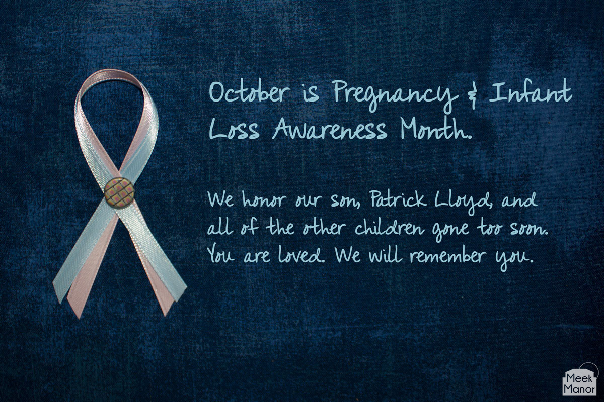 Pregnancy, Infant, & Child Loss Awareness Day Meek Manor