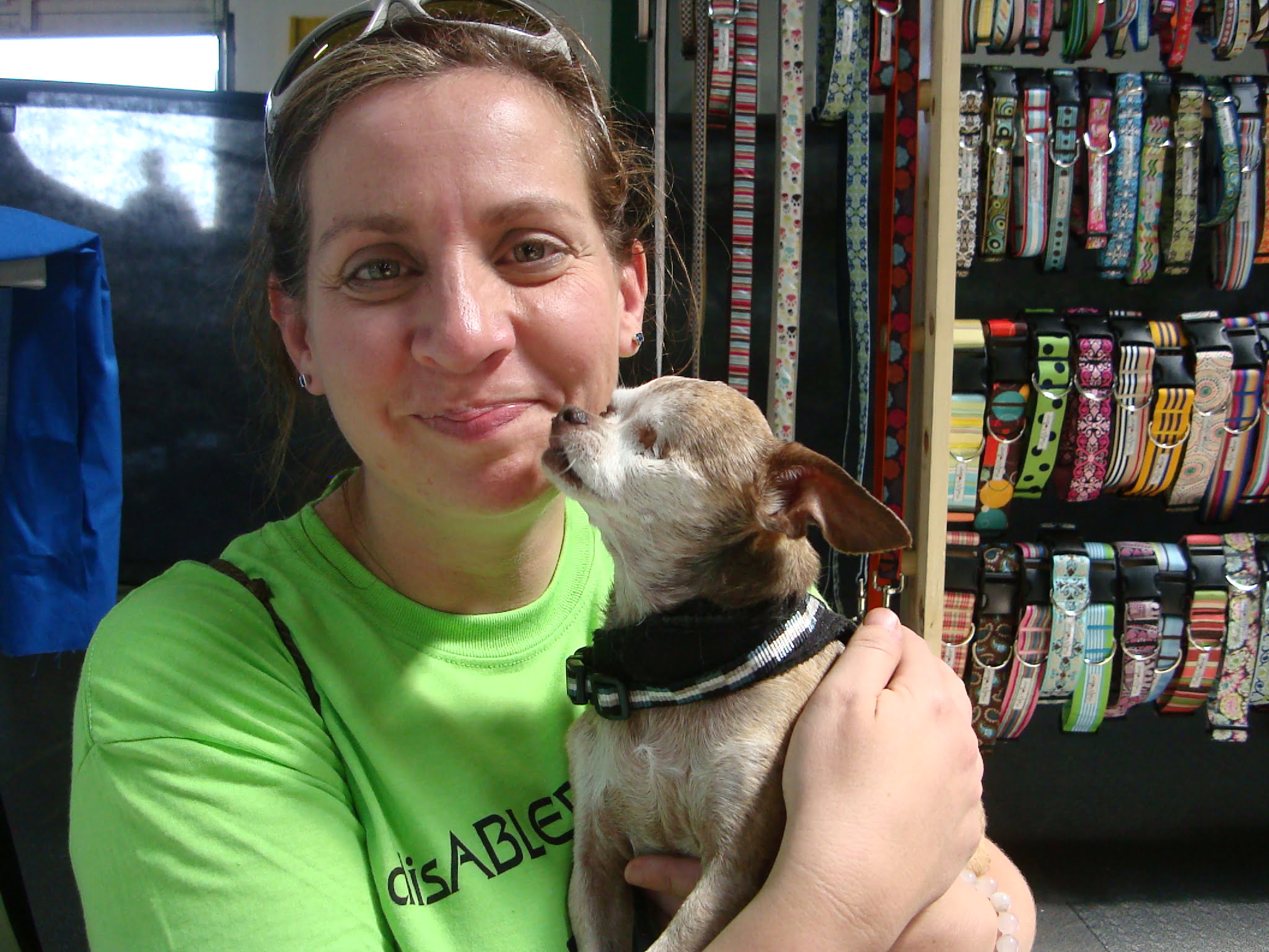 InHome Pet Sitters in Colorado Springs