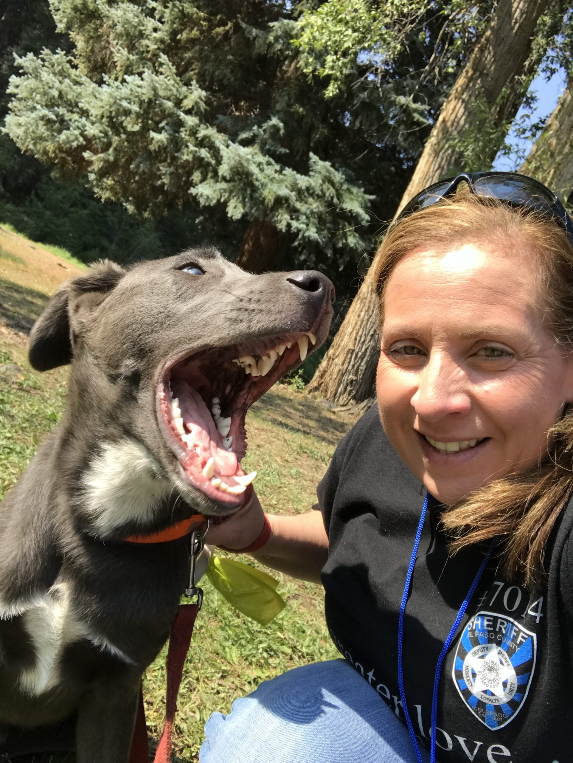 InHome Pet Sitters in Colorado Springs