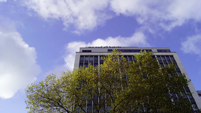 Klein Tokio im Herzen Düsseldorfs