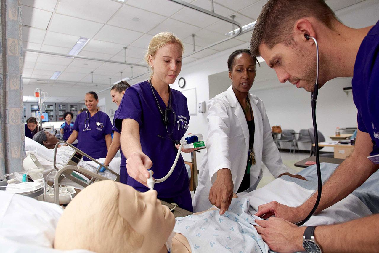 13 Ways to Be a Global Public Health Major MEET NYU