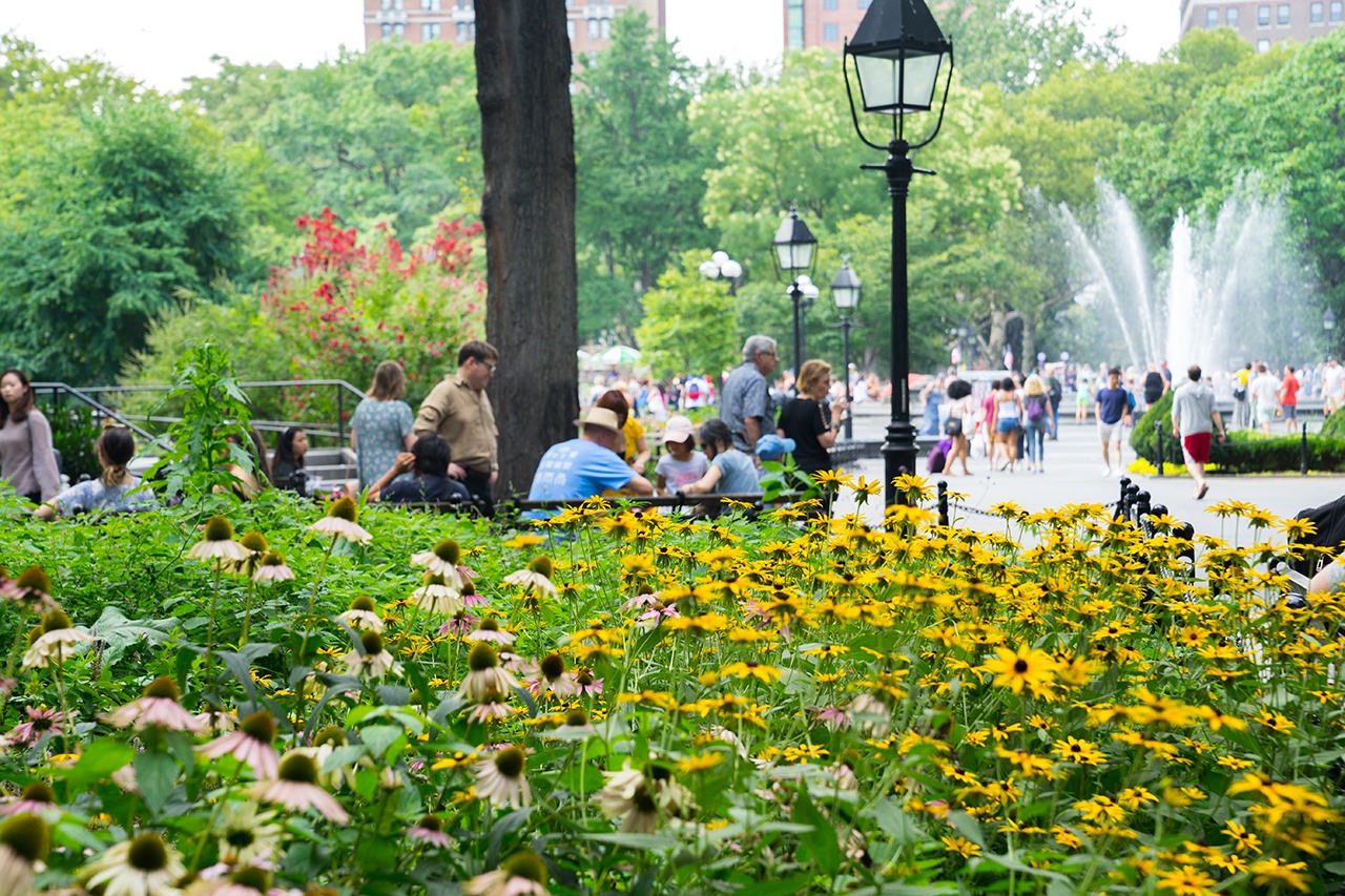 Washington Square Park NYU's Campus Quad in Every Season MEET NYU