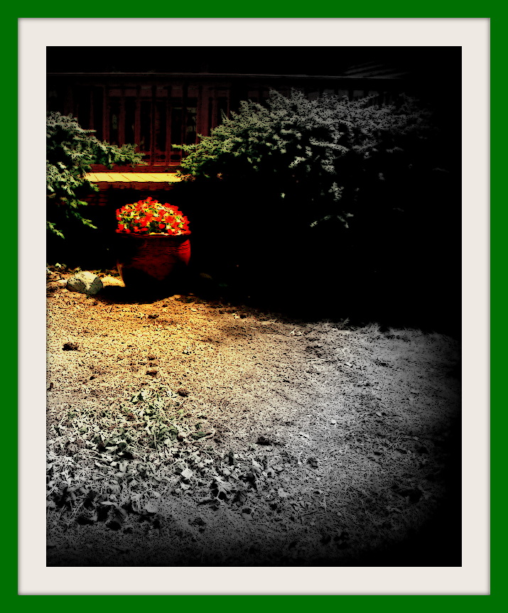 EMPTY GARDEN Poetry, by Yesim Agaoglu Meeting Benches