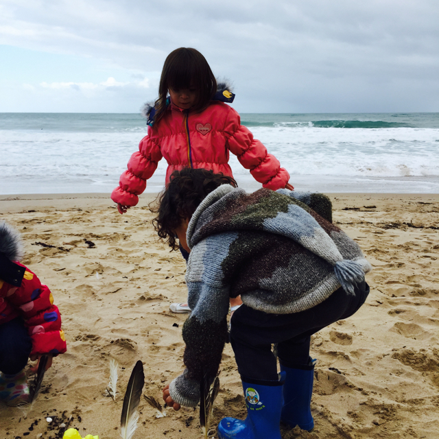 Winter Getaway Aireys Inlet Meetoo