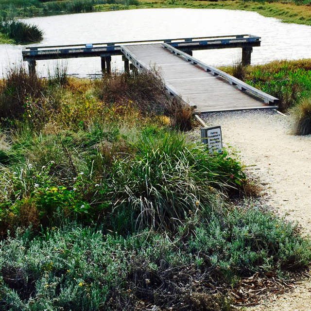 Winter Getaway Aireys Inlet Meetoo