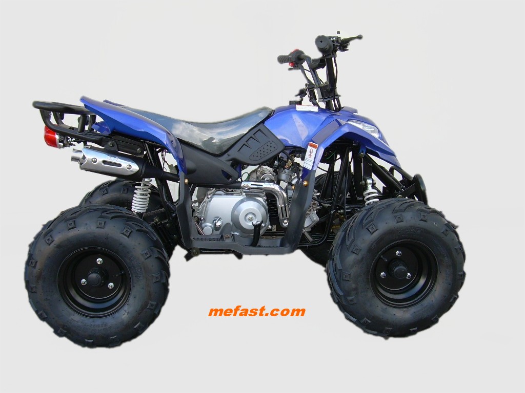 Wholesale ATV 110cc Prowler