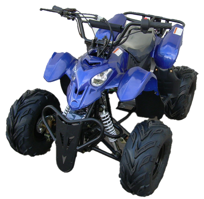 Wholesale ATV 110cc Prowler