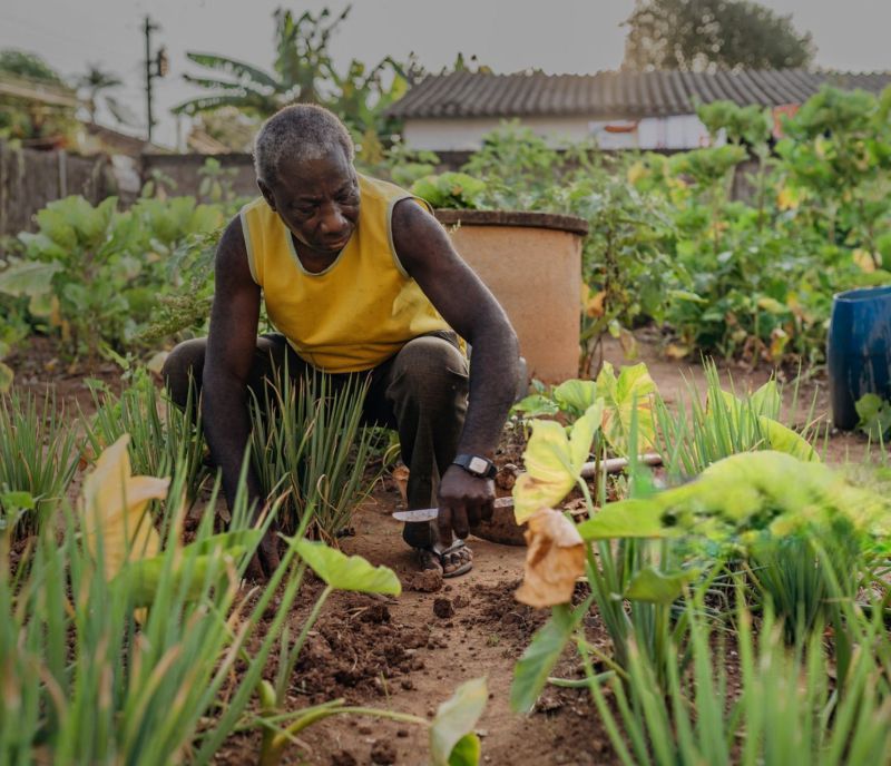 Small Scale Farming versus Large Scale Farming in Ghana Mega