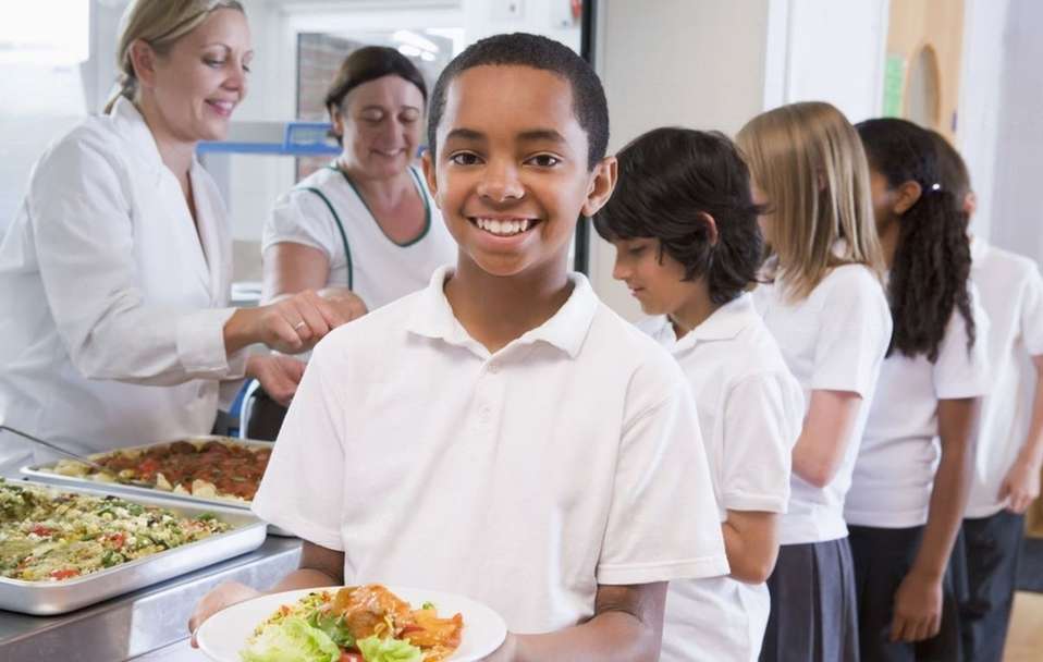 School Cafeteria Worker Job Description Salary, Duties & More