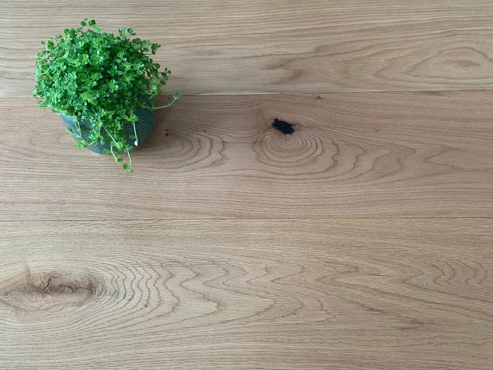 Gotovi Parketi Veliki Izbor Parketa Cijene Parketa do 20 MegaKop