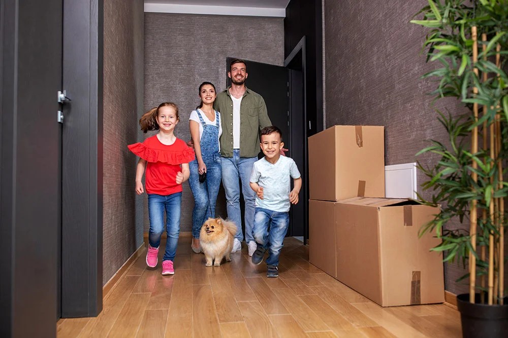 How to relocate with a pet, stressfree Megaltd