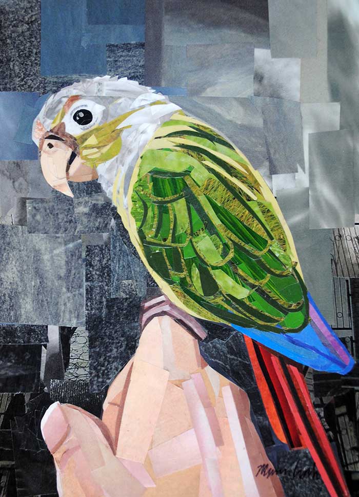 Bird Painting Collage 15 agrohort.ipb.ac.id