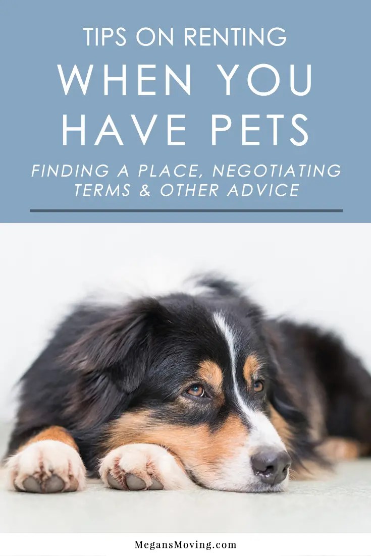 Tips on Renting a New Place When You Have Pets Megan's Moving