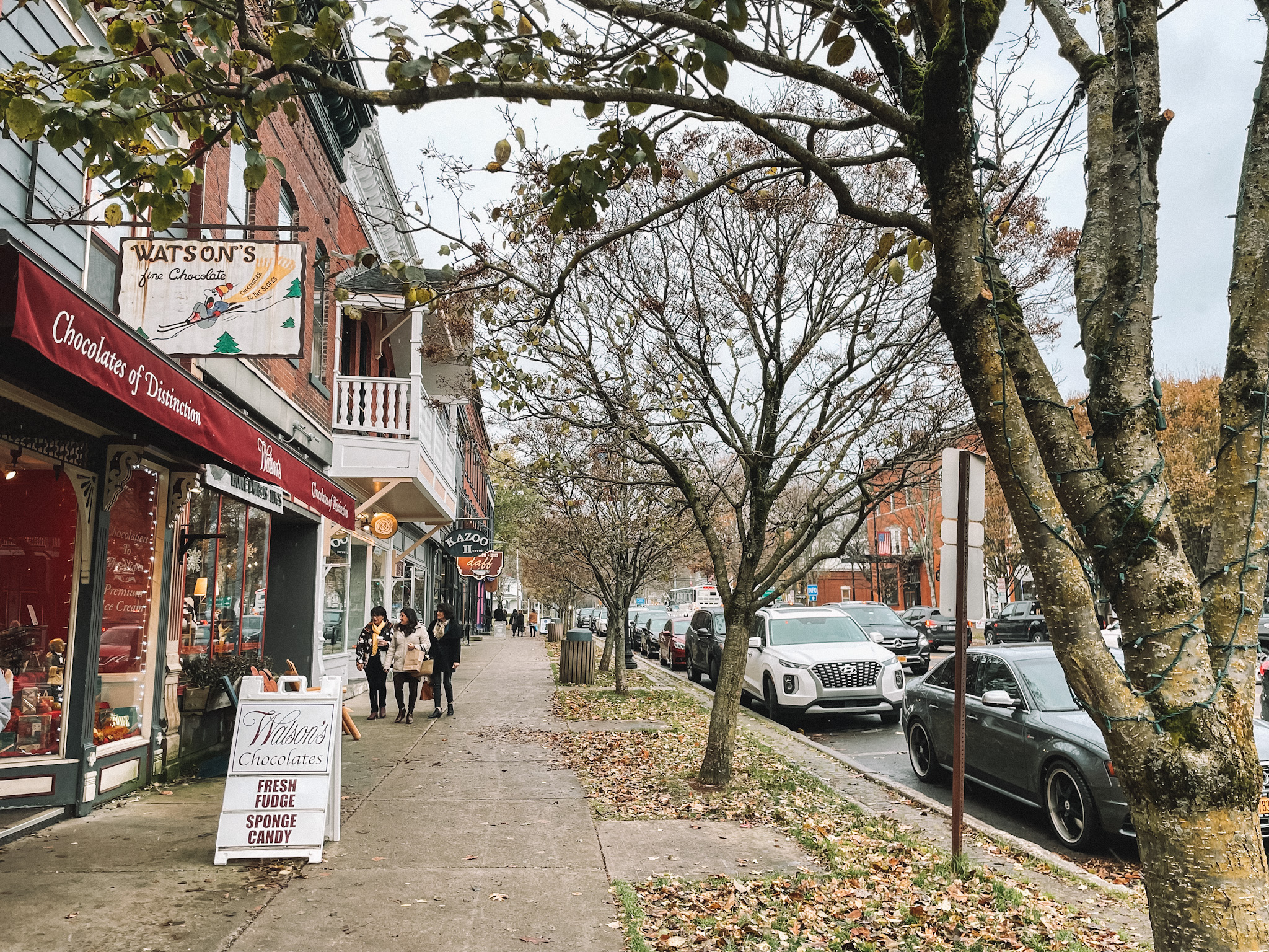 AllSeason Guide to Ellicottville, NY meganywhere