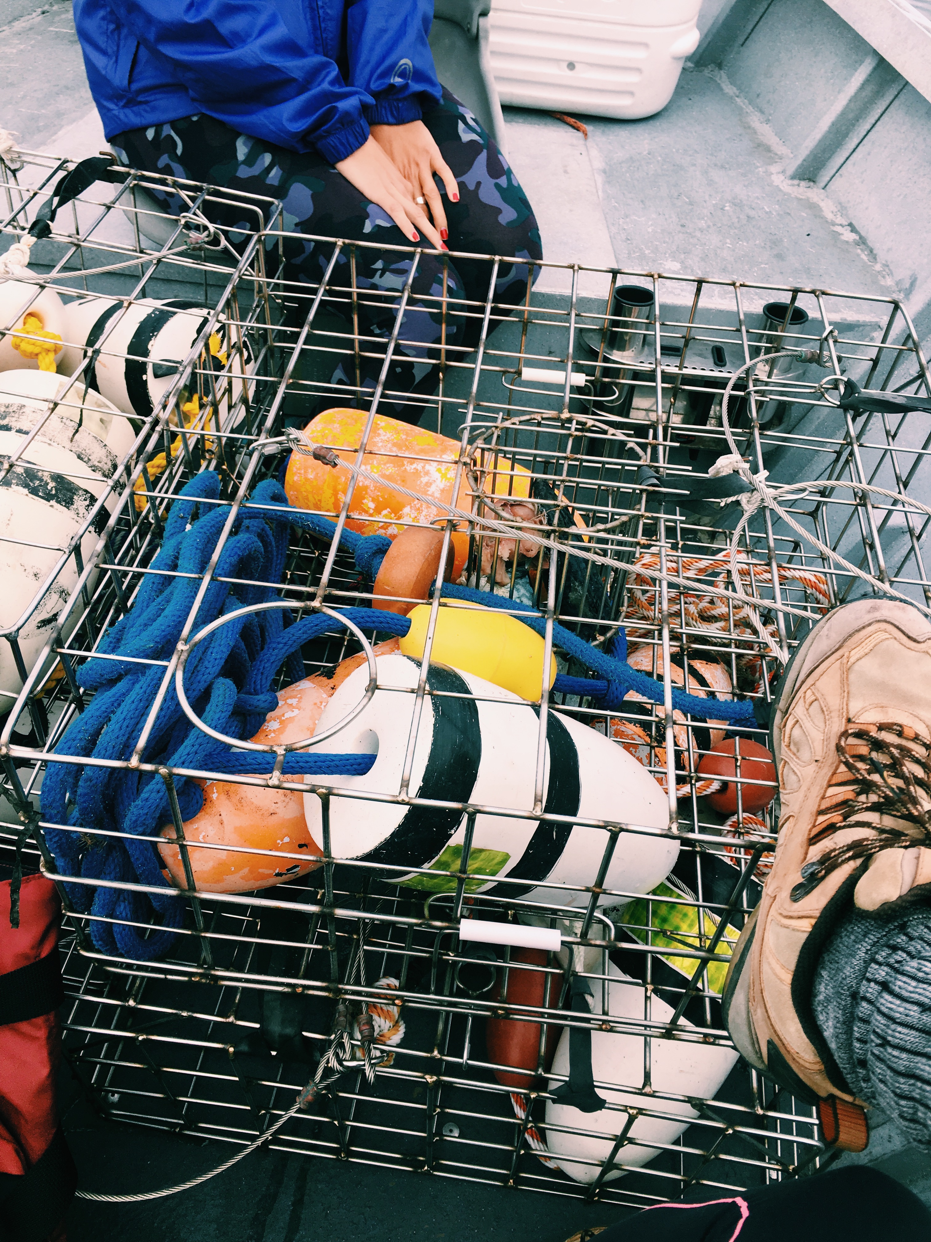 How to Prepare Dungeness Crab Meg is Well