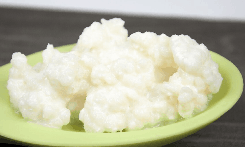 Is Kefir A Probiotic That Also Has Anticancer Properties? Me, him