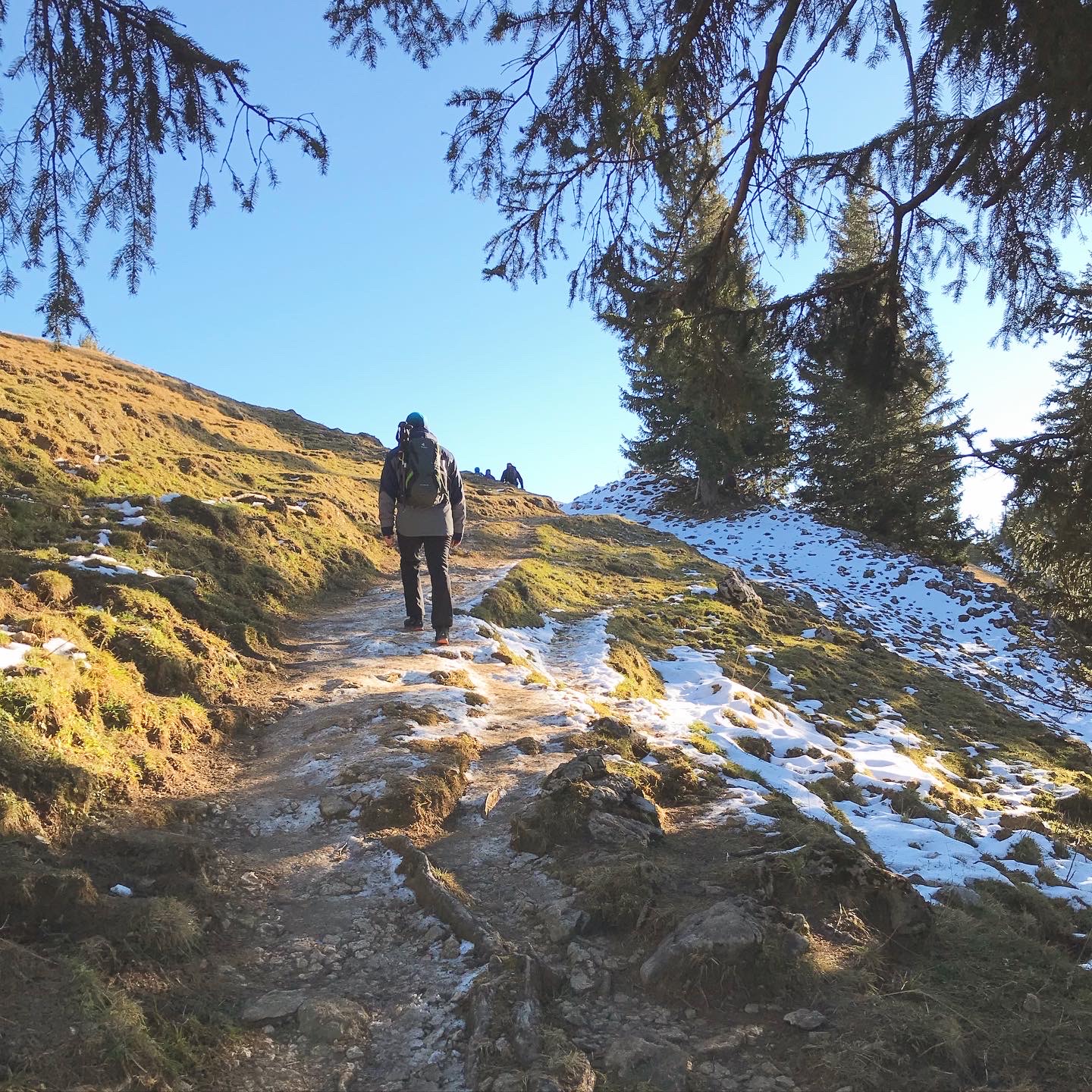 Münchner Hausberge im Herbst Von Marquartstein auf den Hochgern › mehrberge.de