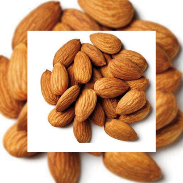 Almond Kernels Online Herb Store Mehwerteas....