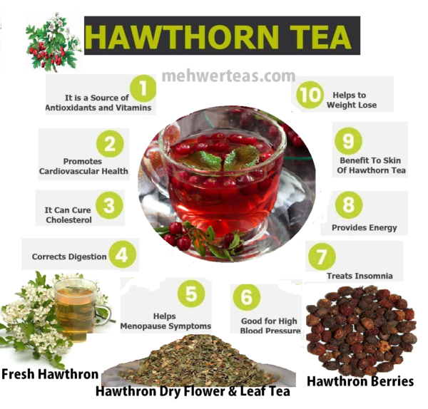 Bulk Hawthorn flower & leaf tea Online Herb Store Mehwerteas....