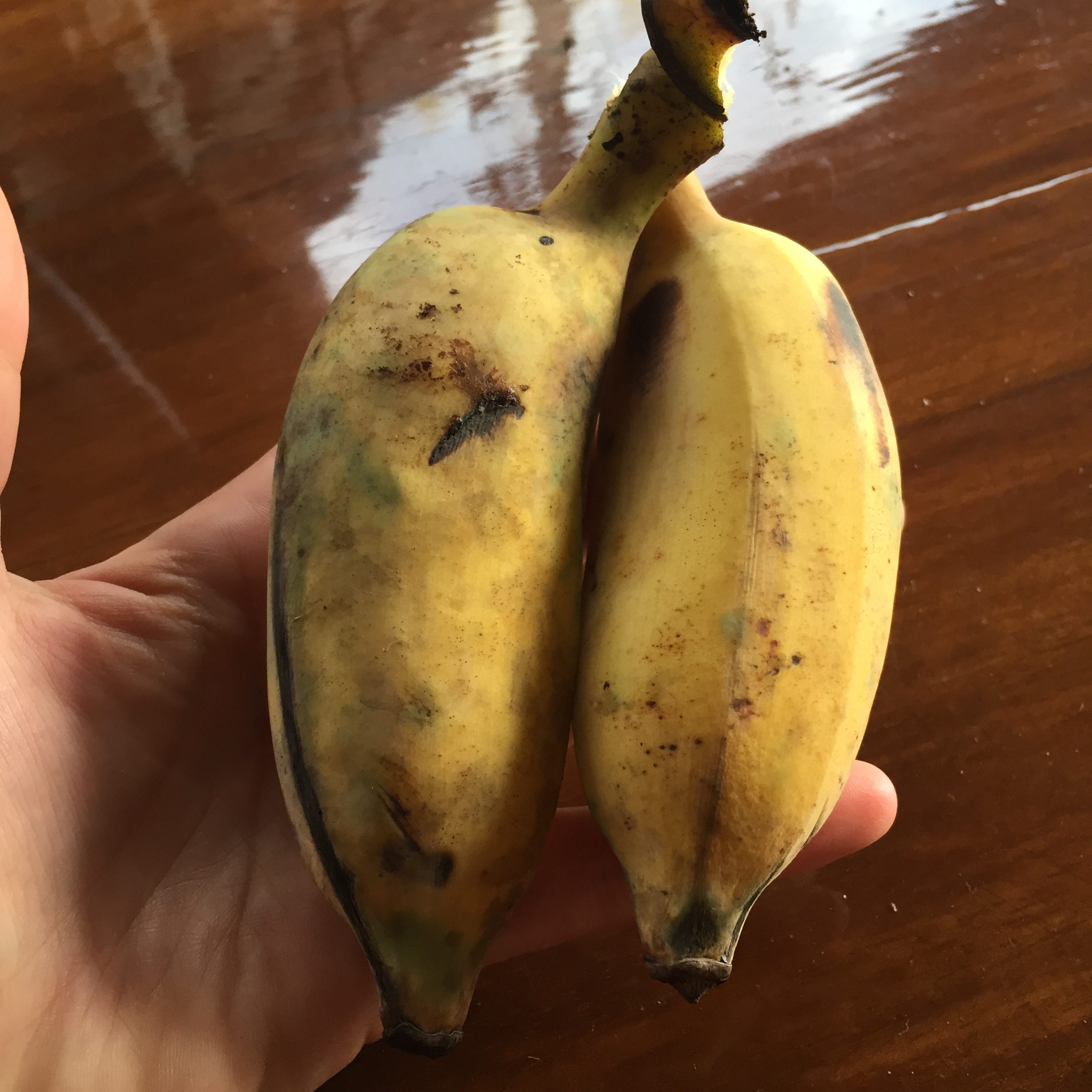 » thai bananas