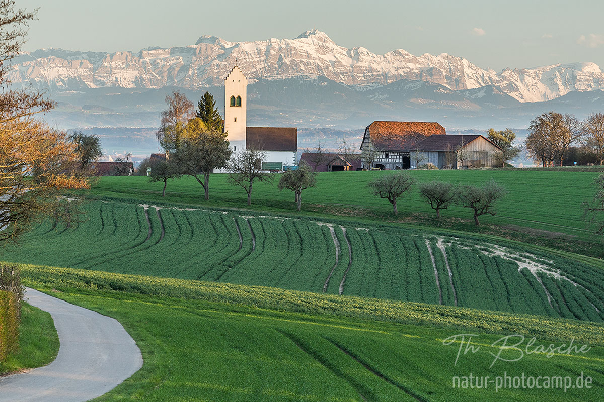 Das Wetter am Bodensee Föhn MeinBodensee