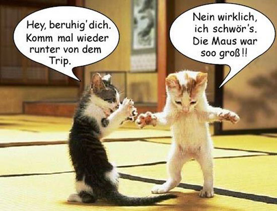 Spruch Des Tages Mein Fun Com Lustige Bilder Lustige Videos Games Facebook Sms Fails And More