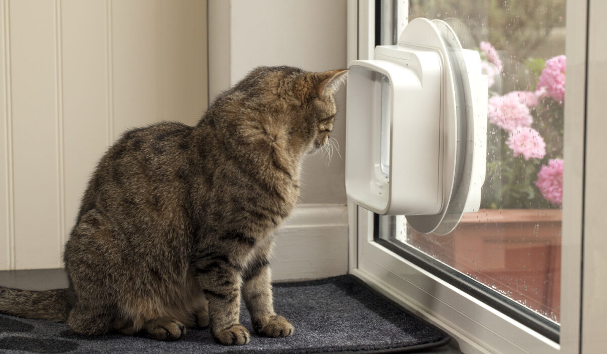 Einbaumöglichkeiten meinekatzenklappe.de
