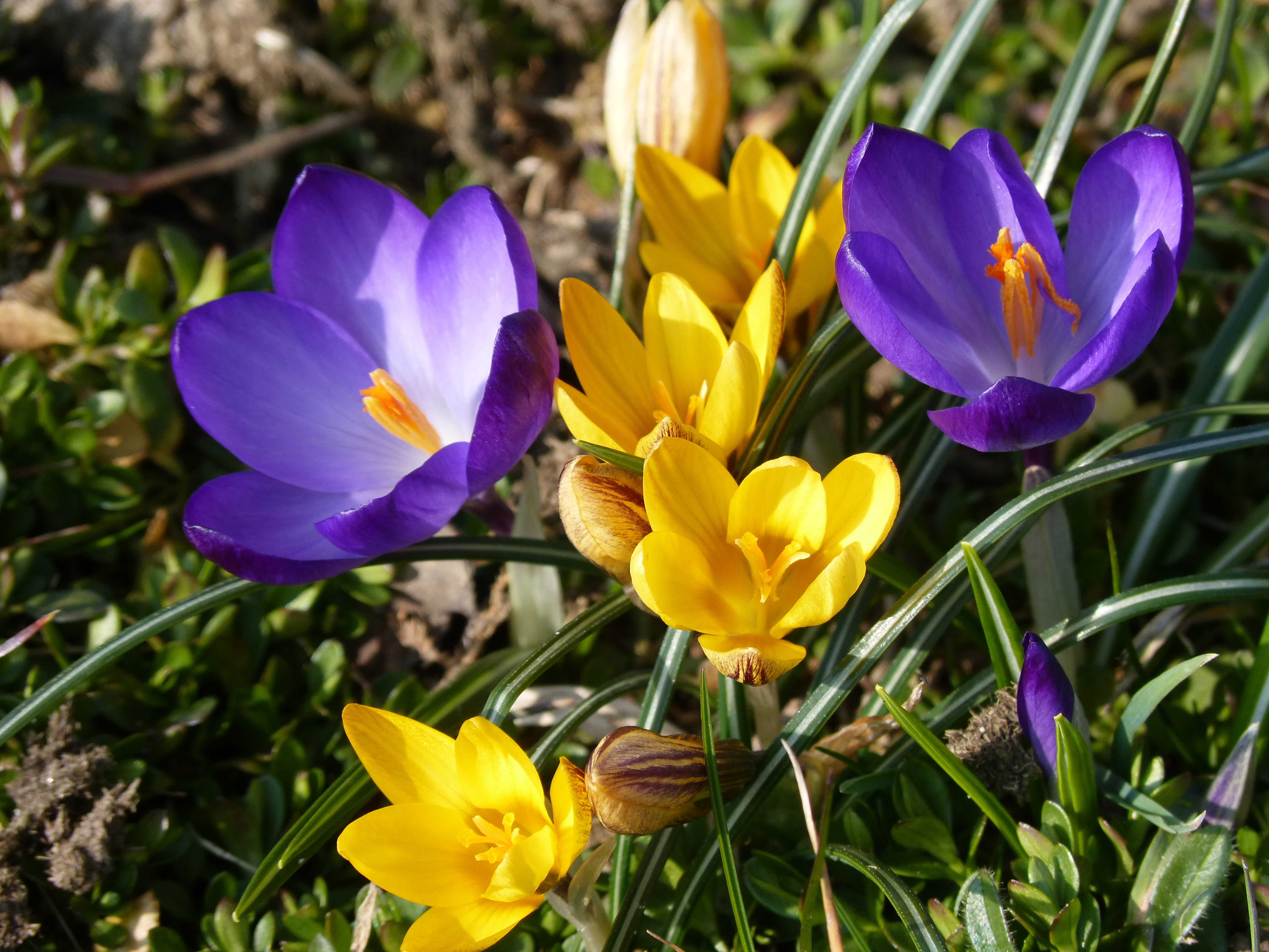 Spruch Zum Wochenende Fruhling Riechen Meinesichtderwelt