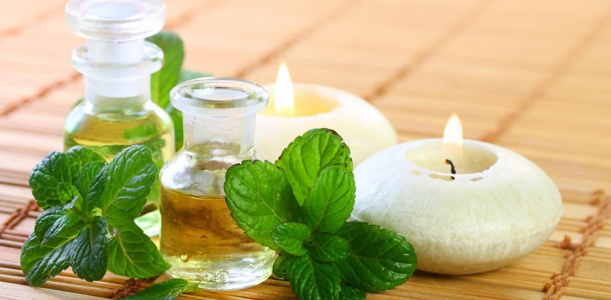 Cómo hacer aceite de menta: 11 Pasos (con imágenes)